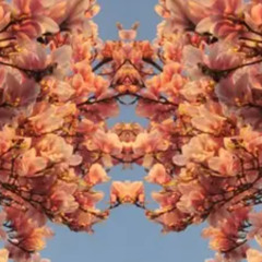 Dead Presidents II x Through The Late Night Ledger Mix