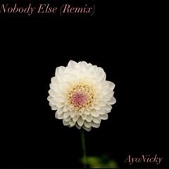 Nobody Else (Remix)