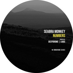 Seabra Monkey - 3112 (Deepdrome Remix) [Crossfade Sounds]