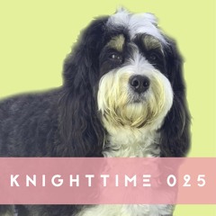 Knighttime 025