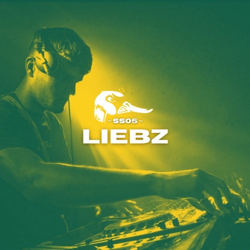 Swansea Selections 005 - LIEBZ