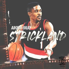 Aikido Bray - Strickland (MSTR)