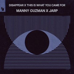 Disappear x This is What You Came For (Manny Guzman & JARP Edit)