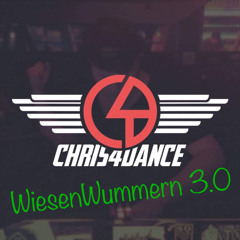 Chris 4Dance @ Wiesenwummern 3.0