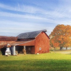 Viola Wills Radio Thumbs Up