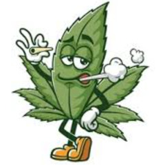 Cannabis prod.kcizzy