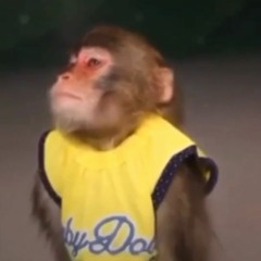 Margiella Jay x LongLiveLarry - Would It Help