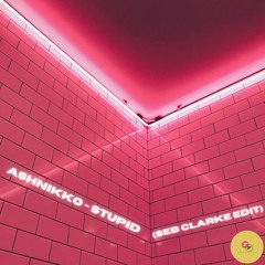 Ashnikko - Stupid (Seb Clarke Edit)