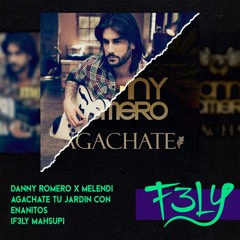 Danny Romero X Melendi - Agachate Tu Jardin Con Enanitos (F3LY Mahsup)