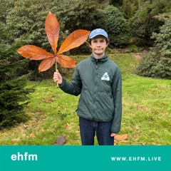 In The Aisle, Yelling - 13.11.25