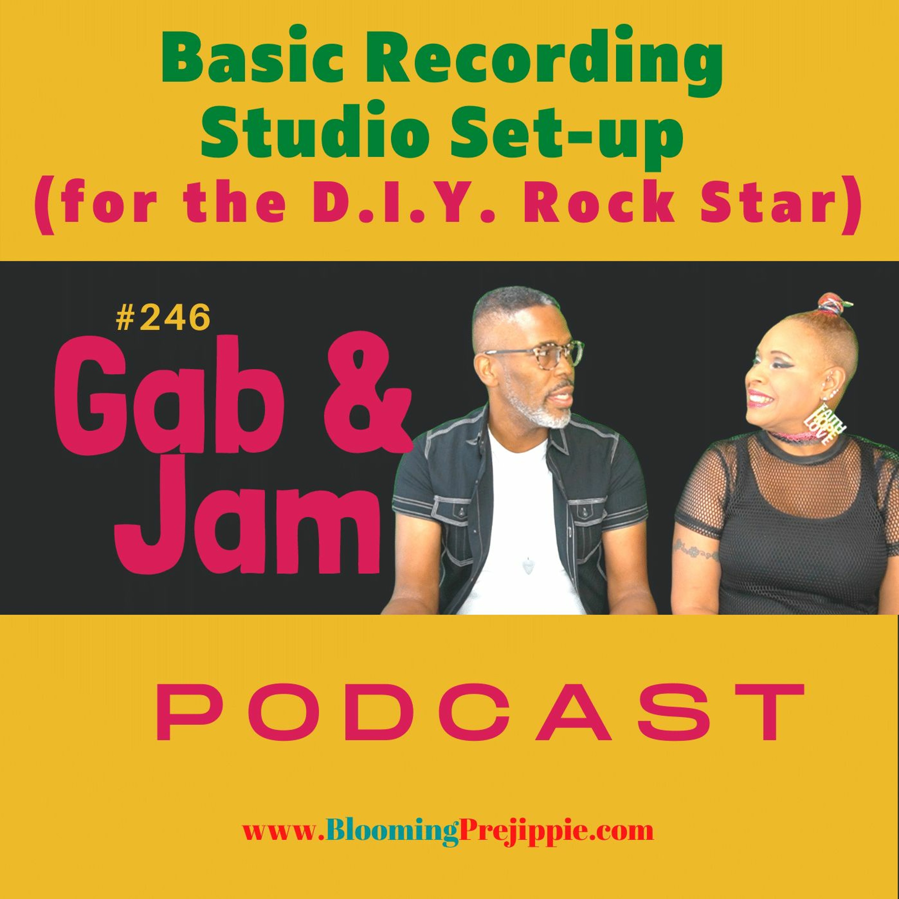 246. Basic Recording Studio Set - Up (for The D.I.Y. Rock Star) Podcast episode artwork