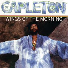 Wings Of The Morning (Dynamik Duo Mix) [feat. Method Man]