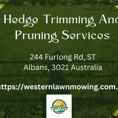 Hedge Trimming And Pruning Services