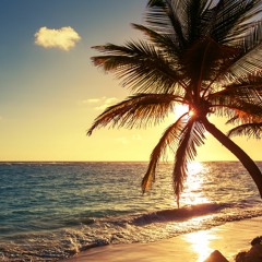 | SIGNALS | J COLE TYPE BEAT x JACK HARLOW TYPE BEAT