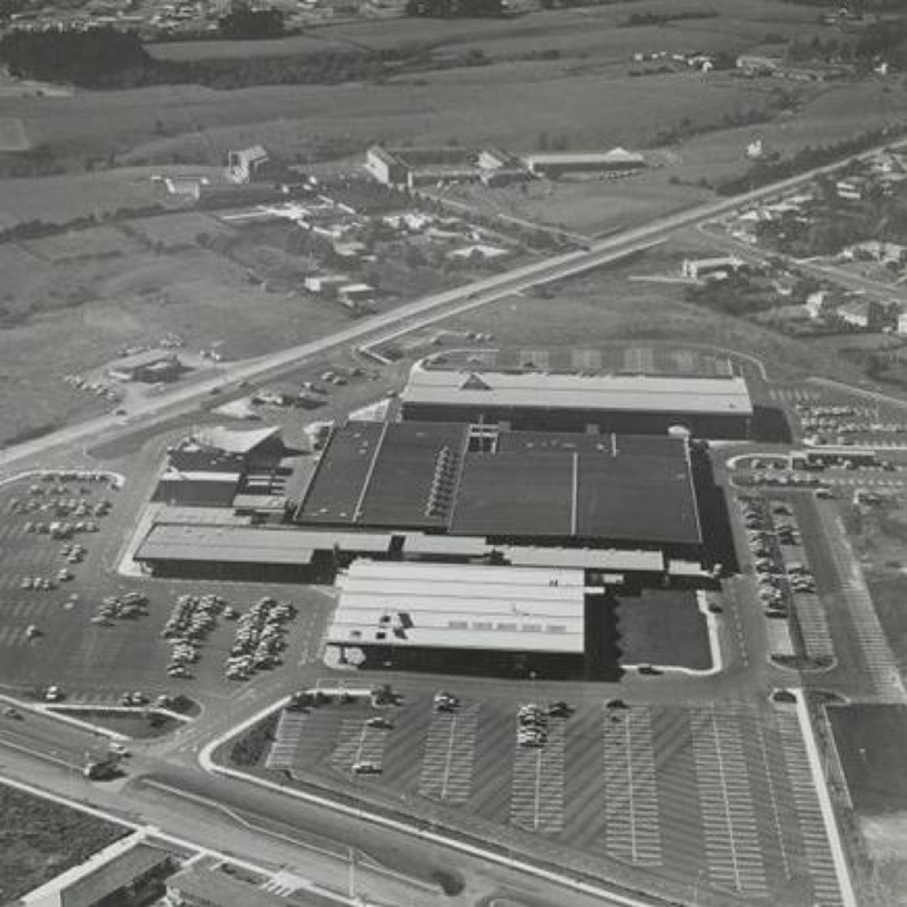 Joan Rutherford - Pakuranga Town Centre episode artwork