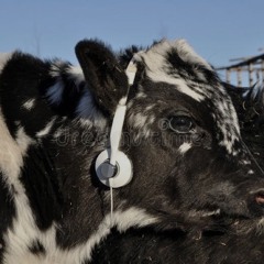 being somebody is just something 2 b