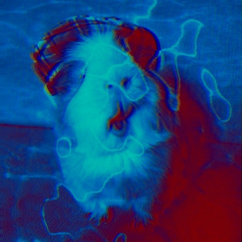 Papa's got a brand new guinea pig (Dada Mouton Noir Edit).wav