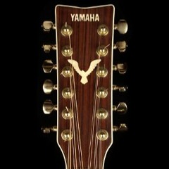 12string SE8 - Beyer 201 Comparison
