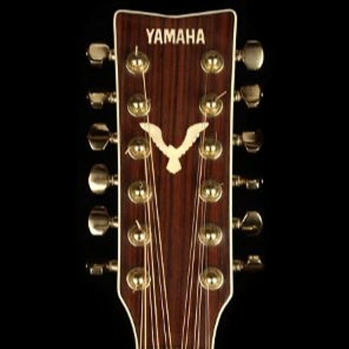 12string SE8 - Beyer 201 Comparison