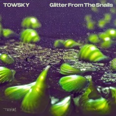 Premiere: Towsky - Kerosene [TWSK001]
