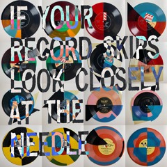 If Your Record Skips Look Closely At The Needle