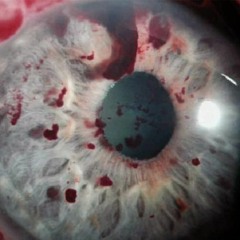 disco corpses in my apartment