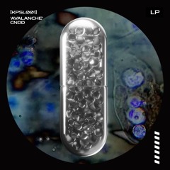 CNDD, Mert V - Blessing [KPSL001]