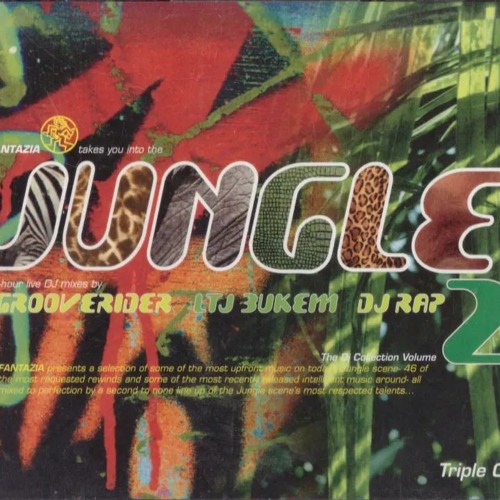 Fantazia Takes You Into The Jungle   1994 - Grooverider