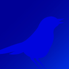 Rossignolet des Bois