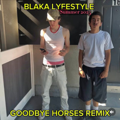 Goodbye Horses Remix - BLAKA LYFESTYLE