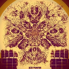 Acid Phantom - Magik 180 Turn