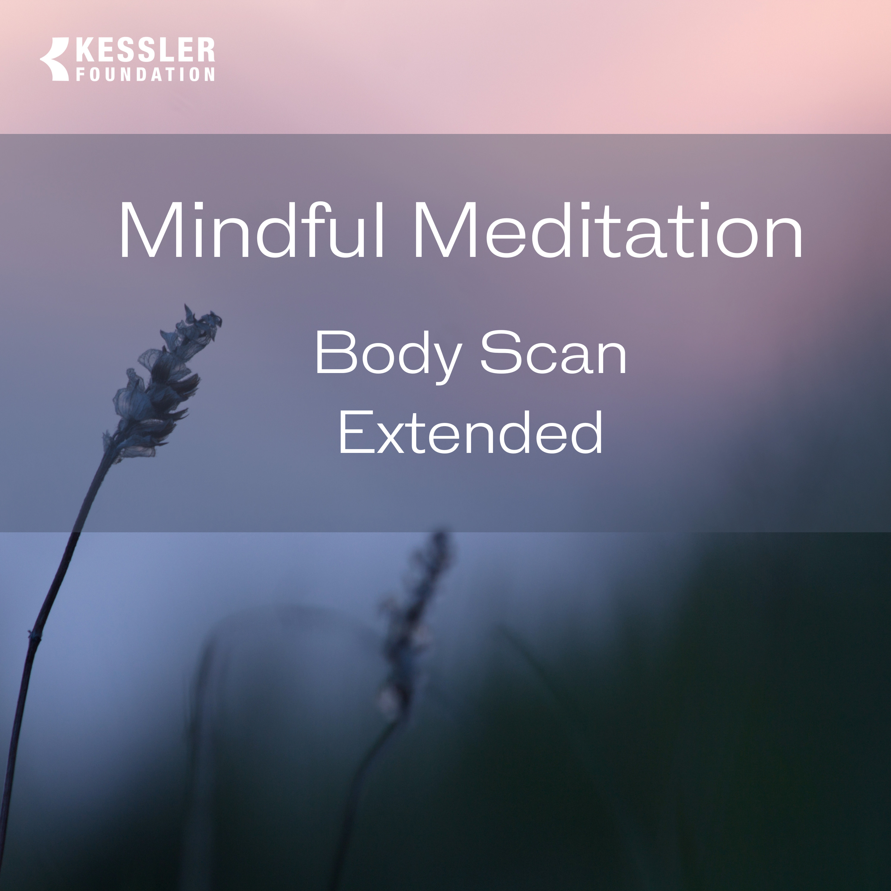 20-Minute Body Scan Meditation