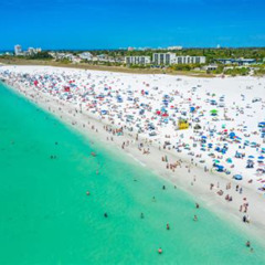 Best Things To Do In Siesta Key Florida Tours Reviews