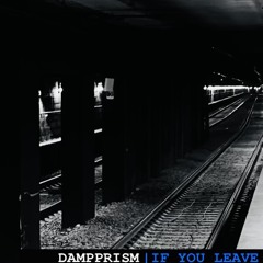 DAMPPRISM - IF YOU LEAVE.wav