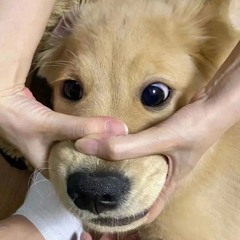 แฟนคนนึง - ponchet (ffk remix)