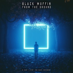 Black Muffin - From The Ground