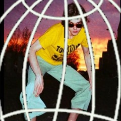 Put The Dawgs Back In (Sho Dawgs Diss) (FAKE)