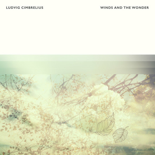 Winds and the Wonder