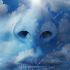 fart made with serum