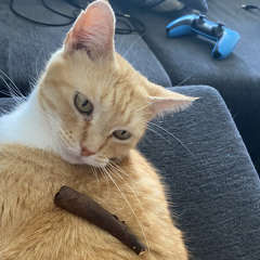 not from youtube (prod JustPete)