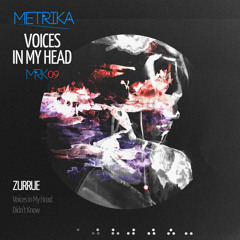 Voices in My Head (Original Mix)