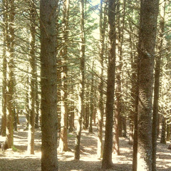 drfitin away (ft. DJ Grumble)