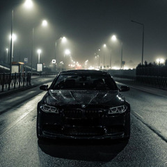 Я не мог заснуть х Scheming Ace Savage