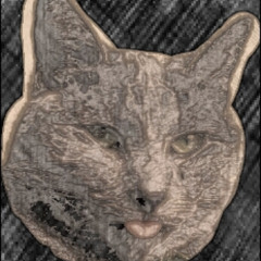 Muca Chemical Overdrive