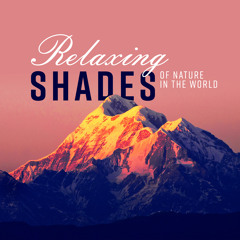 Relaxing Shades of Nature