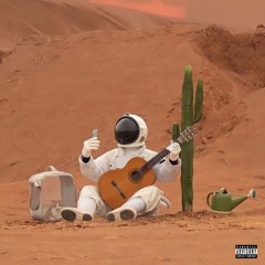 Vida Paca