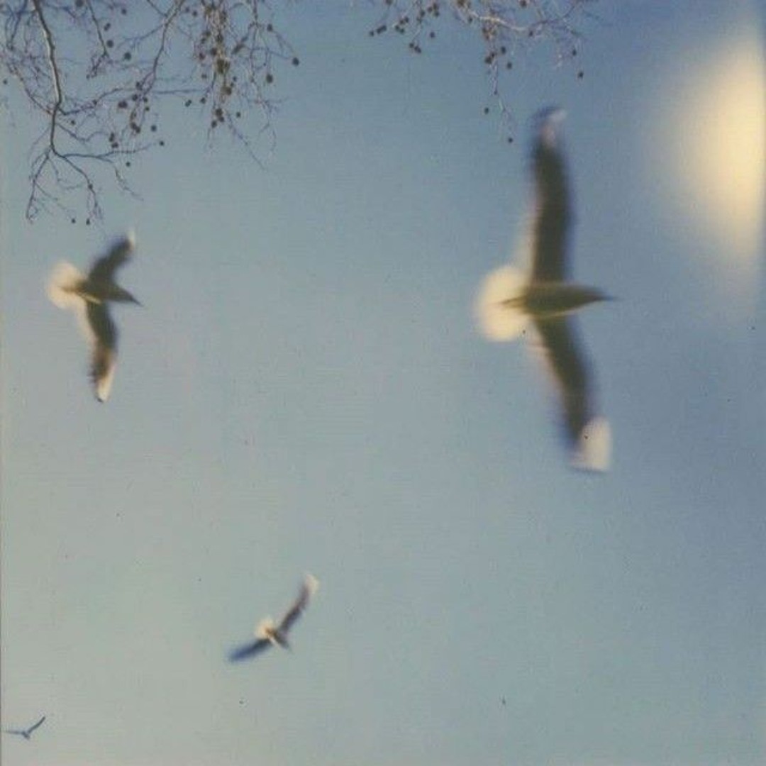 Stream SKY by Feixty II | Listen online for free on SoundCloud