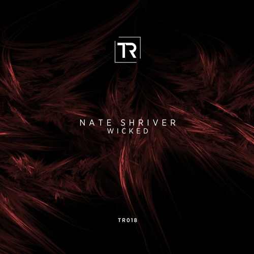 Nate Shriver - Wicked (Remastered) [Techniche Recordings]