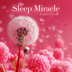 Sleep Improvement Miracle