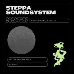 Steppa Soundsystem - Alright
